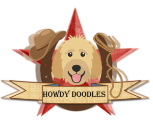 Bordoodle Dog Breeder near ELIZABETH CITY, NC, USA