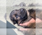 Small #204 Breeder Profile image