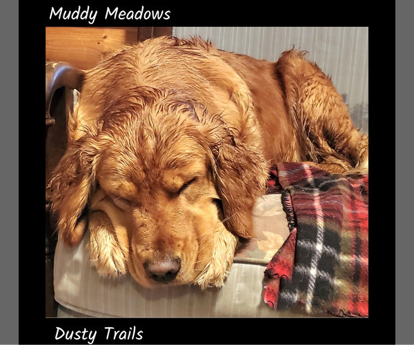 Medium Photo #6  Breeder Profile in KIMBALL, MN, USA