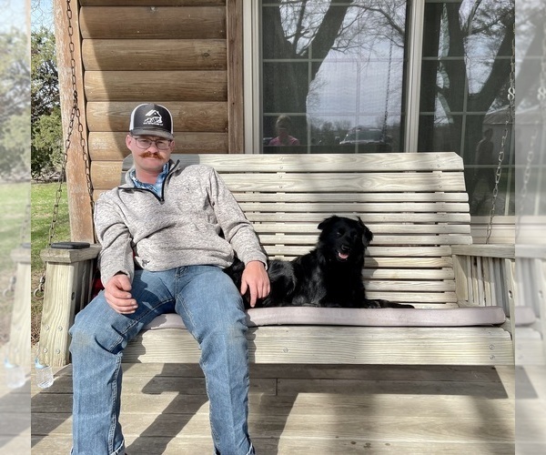 Medium Photo #1  Breeder Profile in AUGUSTA, KS, USA