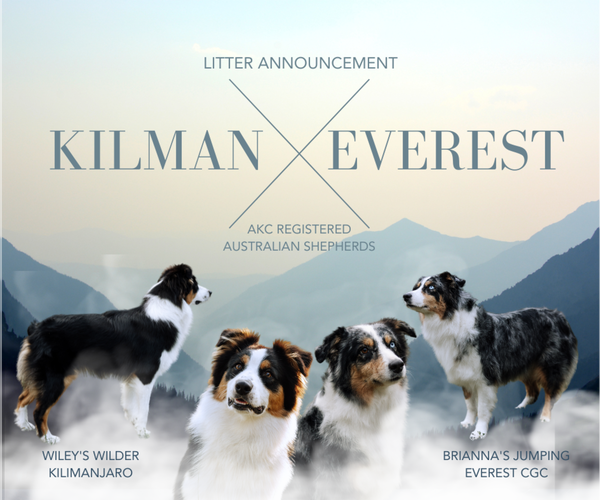 Medium Photo #1  Breeder Profile in ALVORD, TX, USA