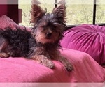 Small #12 Breeder Profile image