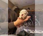 Small #8 Breeder Profile image