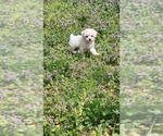 Small #19 Breeder Profile image