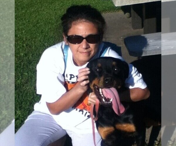 Medium Photo #1  Breeder Profile in FRIDLEY, MN, USA