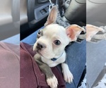 Small #13 Breeder Profile image