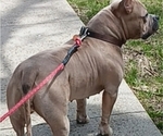Small #4 Breeder Profile image