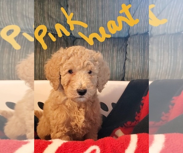 Medium Photo #1  Breeder Profile in EPHRATA, WA, USA