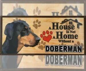 Doberman Pinscher Dog Breeder near KILLEEN, TX, USA