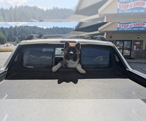 Medium Breeder Profile Photo