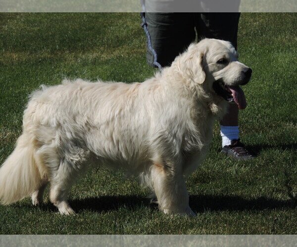 Medium Photo #9  Breeder Profile in ELLENSBURG, WA, USA