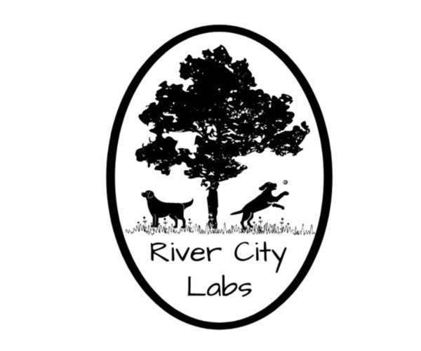Medium Photo #1  Breeder Profile in DEBARY, FL, USA