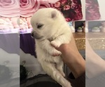 Small #10 Breeder Profile image