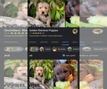 Small #17 Breeder Profile image