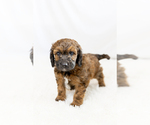 Small #24 Breeder Profile image