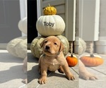 Small #10 Breeder Profile image