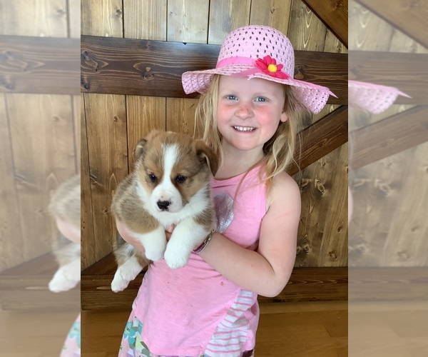 Medium Photo #2  Breeder Profile in ROCK VALLEY, IA, USA