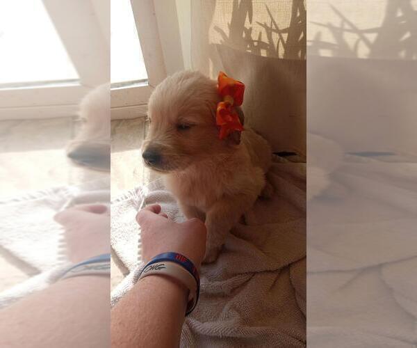 Medium Photo #6  Breeder Profile in BROOKSVILLE, KY, USA