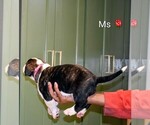 Small #14 Breeder Profile image