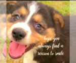 Small #2 Breeder Profile image