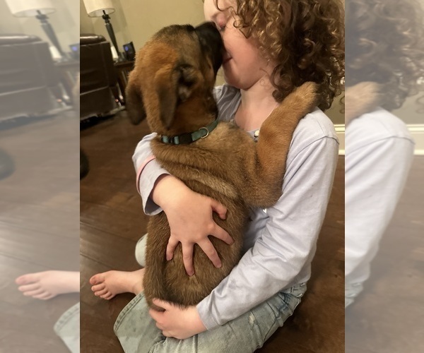 Medium Photo #23  Breeder Profile in ATHENS, AL, USA