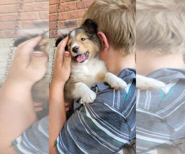 Medium Photo #2  Breeder Profile in UNITY, WI, USA