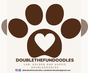 Double Doodle Dog Breeder near DAPHNE, AL, USA