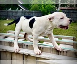 Small #5 Breeder Profile image