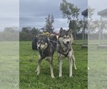 Small #11 Breeder Profile image