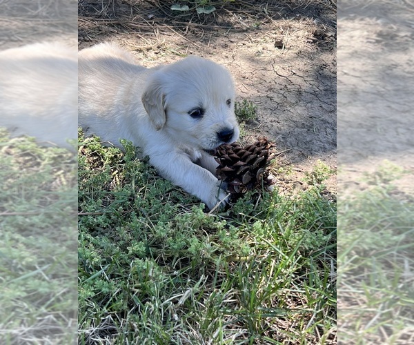 Medium Photo #6  Breeder Profile in ELLENSBURG, WA, USA