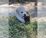 Small #5 Breeder Profile image