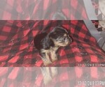 Small #354 Breeder Profile image