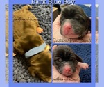 Small #8 Breeder Profile image