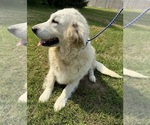 Small #5 Breeder Profile image