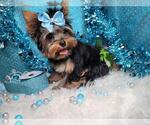 Small #26 Breeder Profile image