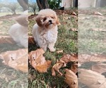 Small #7 Breeder Profile image