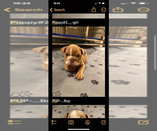 Medium Photo #1  Breeder Profile in MARINA, CA, USA