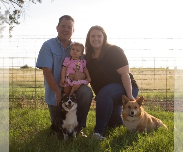 Medium Photo #1  Breeder Profile in MARLOW, OK, USA