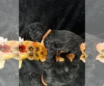 Small #7 Breeder Profile image