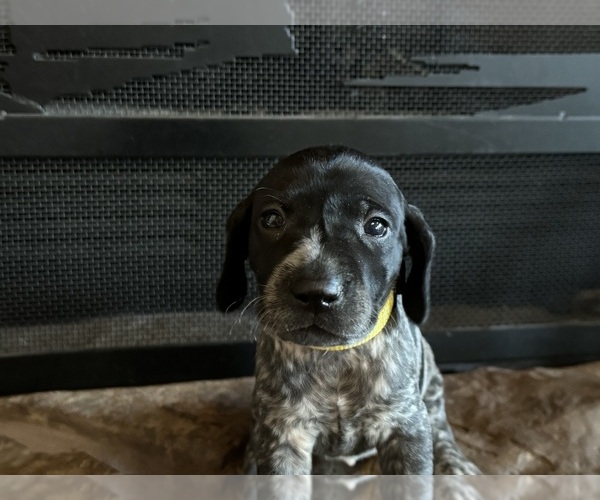 Medium Photo #4  Breeder Profile in BOONVILLE, IN, USA