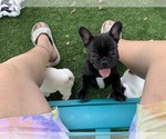 Small #13 Breeder Profile image