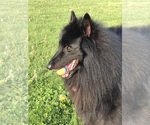Small #4 Breeder Profile image