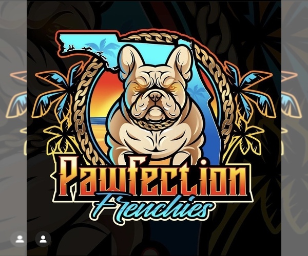 Medium Photo #1  Breeder Profile in FORT LAUDERDALE, FL, USA