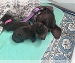 Small #20 Breeder Profile image