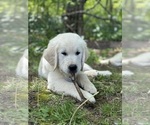 Small #14 Breeder Profile image