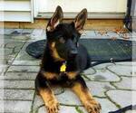 Small breeder photo