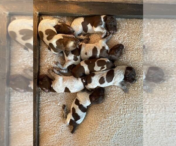 Medium Photo #1  Breeder Profile in ASHEVILLE, NC, USA