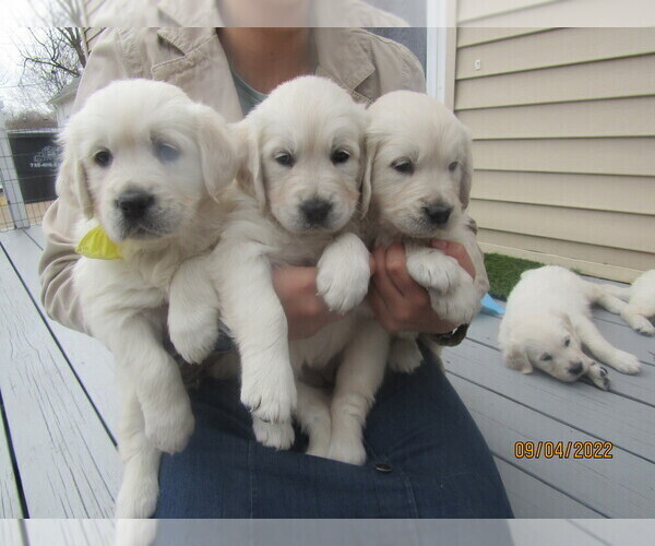 Medium Photo #1  Breeder Profile in SAINT MARYS, KS, USA