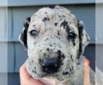 Small #5 Breeder Profile image