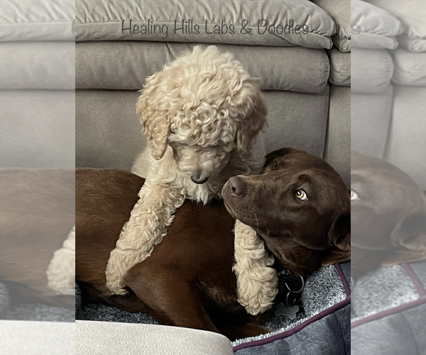 Medium Photo #1  Breeder Profile in CHARITON, IA, USA